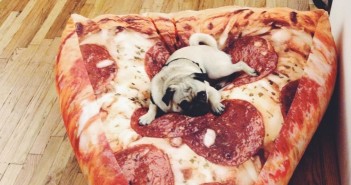 10 Ways to Pizza-fy your Life